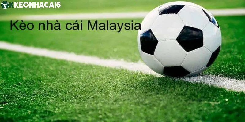 Kèo cược Malaysia có tỷ lệ odds áp dụng đặc trưng